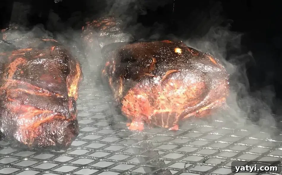 Why Is My Smoker Producing Too Much Smoke? 5 Common Causes 4 img 1428 3