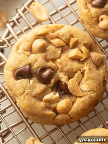 Baked peanut butter cookies on metal cooking rack.