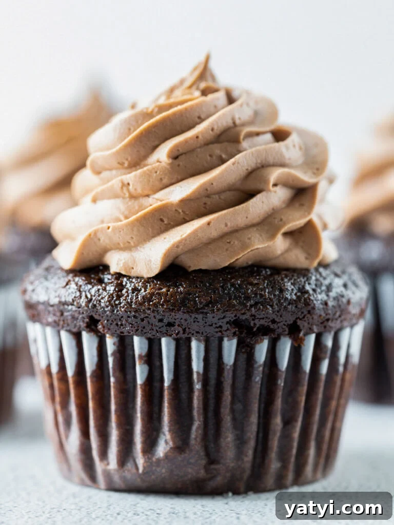 Decadent Chocolate Cupcakes: Moist, Rich Recipe for Home Bakers 8 chocolate cupcake topped with chocolate frosting