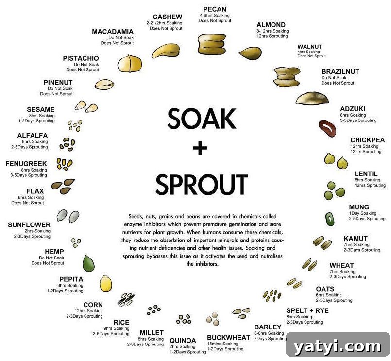 soak_nuts