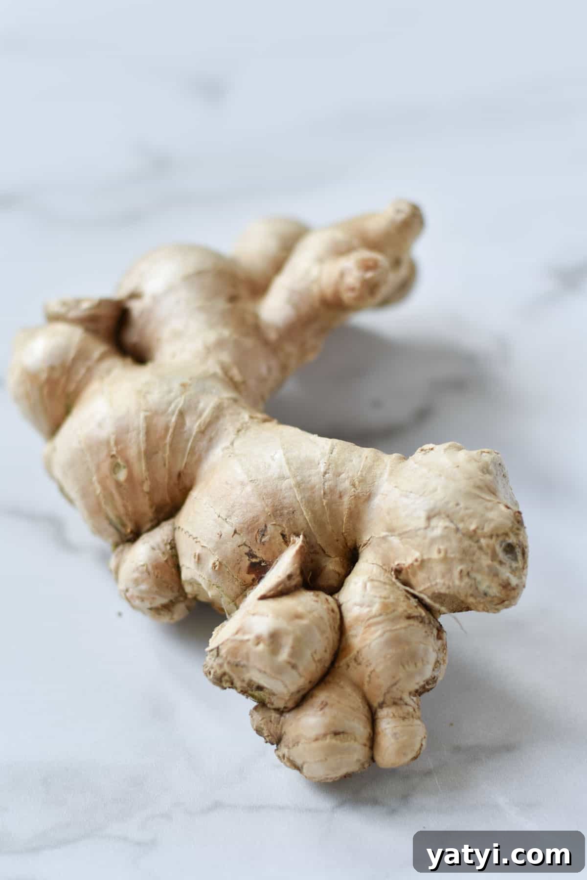 Ginger Juice Recipe: Make Fresh Ginger Juice with a Blender or Juicer 3 Ginger root on a marble table.
