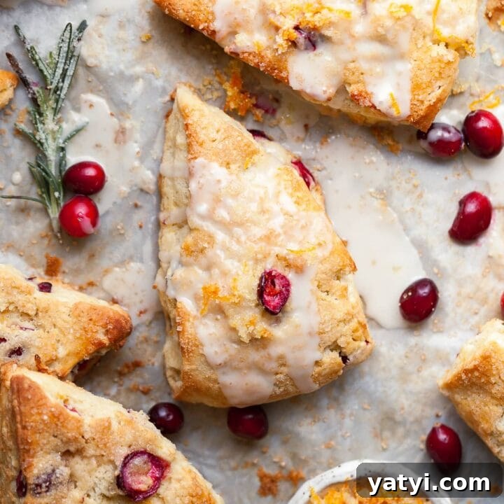 gluten free cranberry orange scones with an orange glaze on parchment paper, surrounded by fresh cranberries