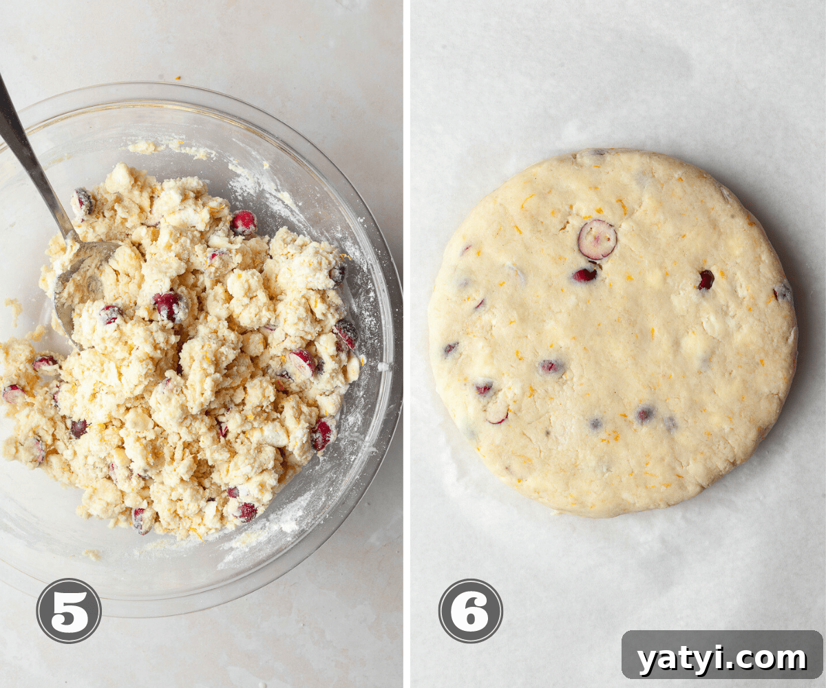 Gluten-Free Cranberry Orange Scones Recipe for Tender Flaky Bakes 6 img 15484 5