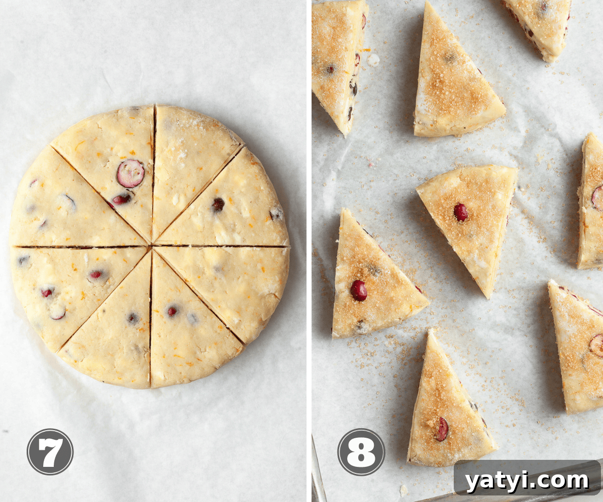 Gluten-Free Cranberry Orange Scones Recipe for Tender Flaky Bakes 7 img 15484 6