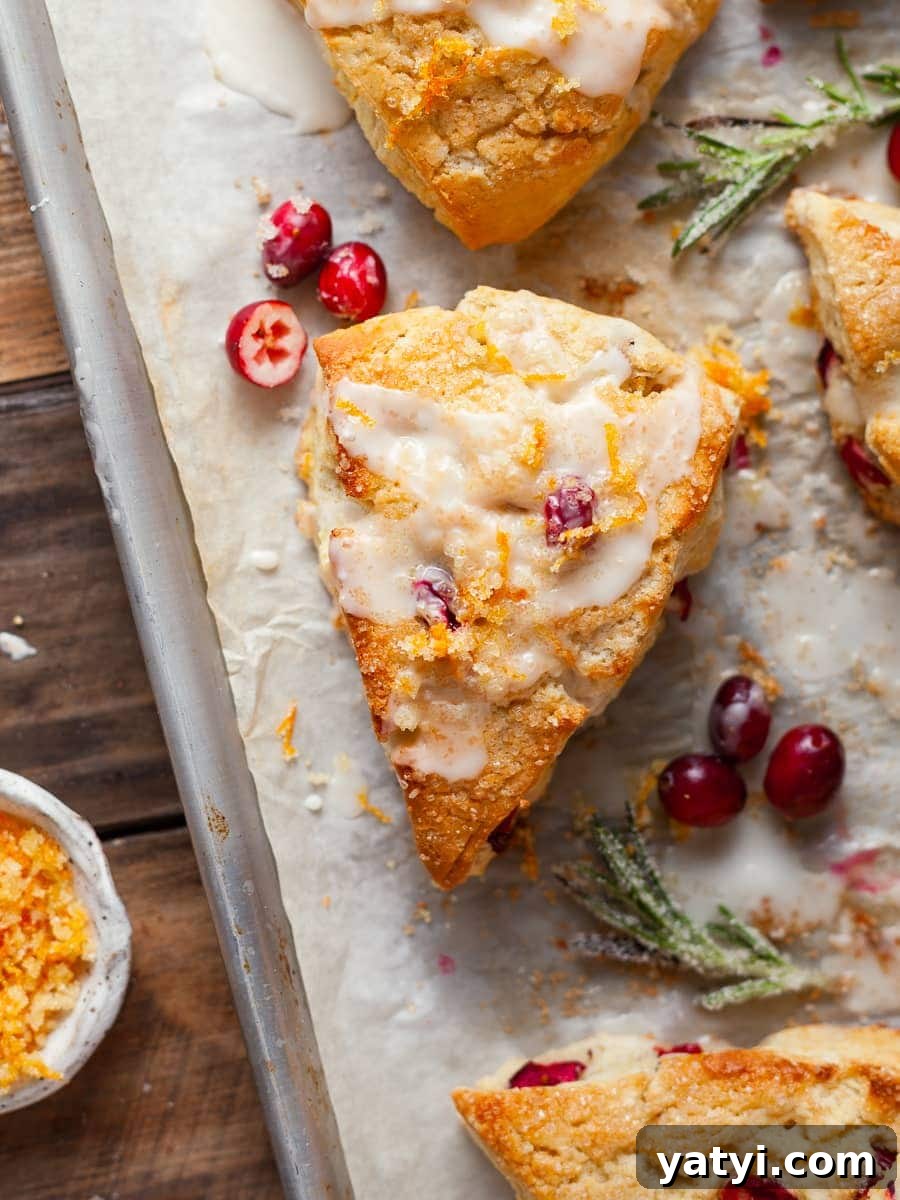 Gluten-Free Cranberry Orange Scones Recipe for Tender Flaky Bakes 8 gluten free cranberry orange scones with an orange glaze on parchment paper, surrounded by fresh canberries