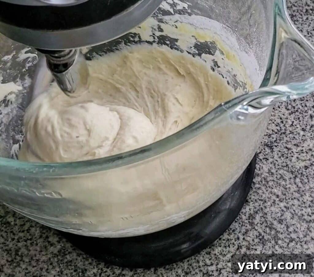 Gluten-Free Pita Bread Recipe: Soft, Flavorful, and Simple 4 mixing dough using dough whisk and kitchenaid mixer.