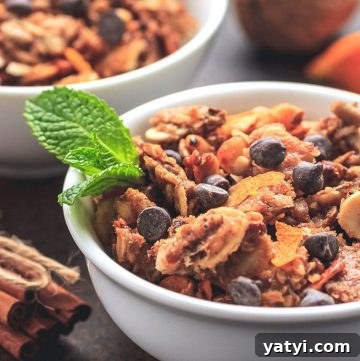 Keto Chocolate Chip Orange Granola Recipe for Low-Carb Snacks 5 Crunchy low carb granola with sugar-free chocolate chips and orange accents.