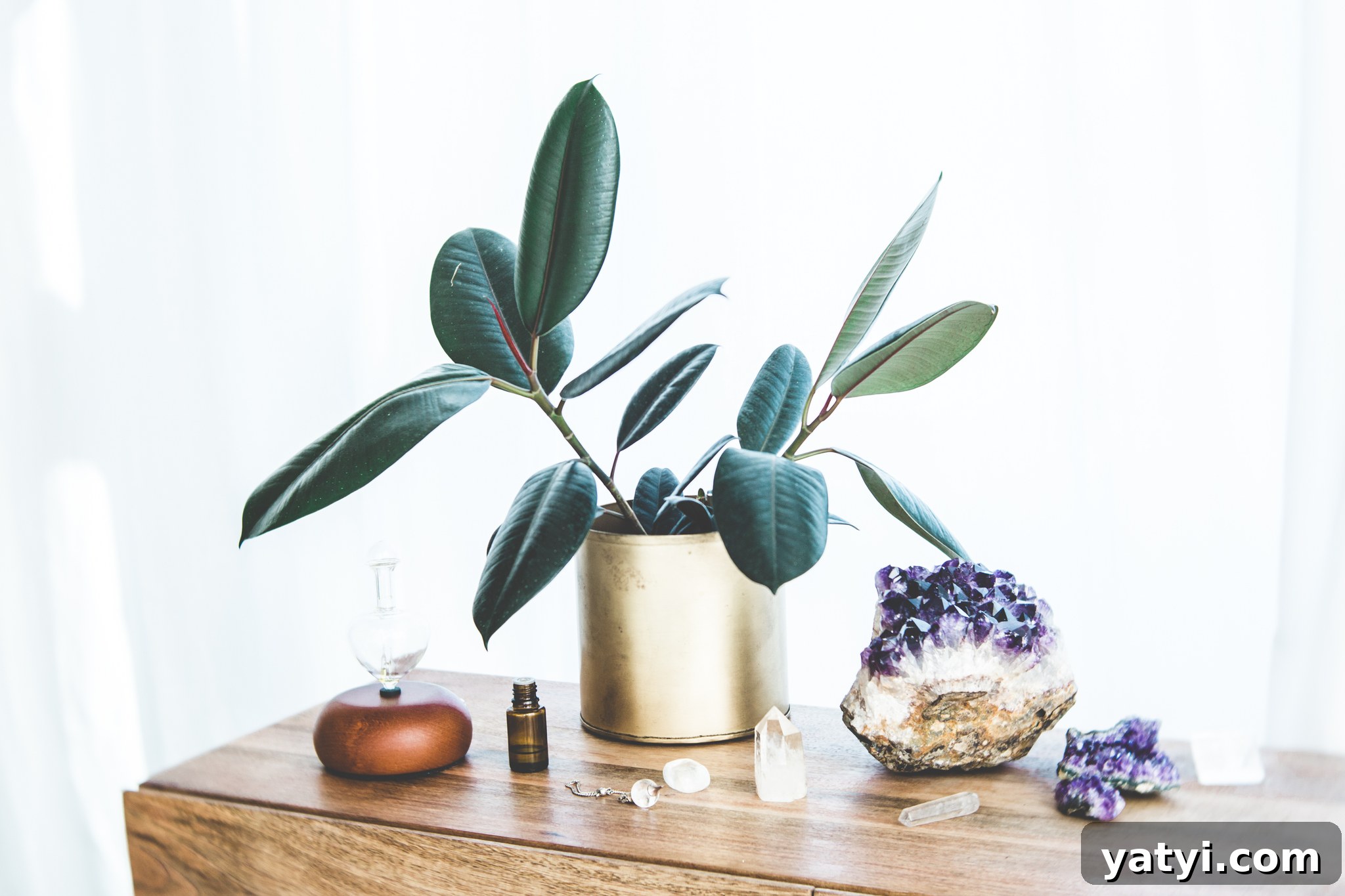 30 Peppermint Essential Oil Blends for Your Diffuser