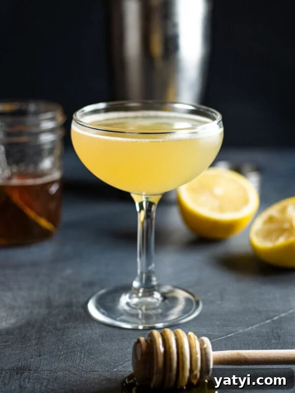 Gold Rush Whiskey Cocktail Recipe: Classic Honey-Lemon Sour 5 img 16369 4