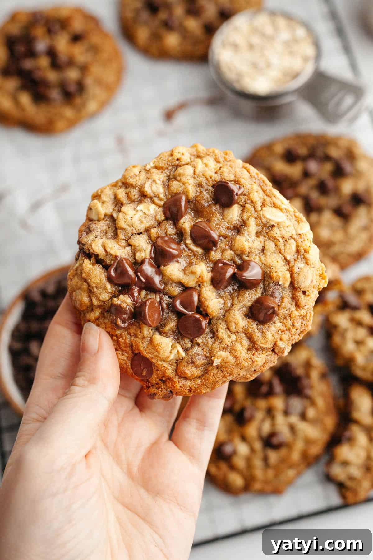 Chewy Brown-Butter Oatmeal Cookies with Chocolate Chips 2 A hand holding a brown butter oatmeal cookie with chocolate chips.