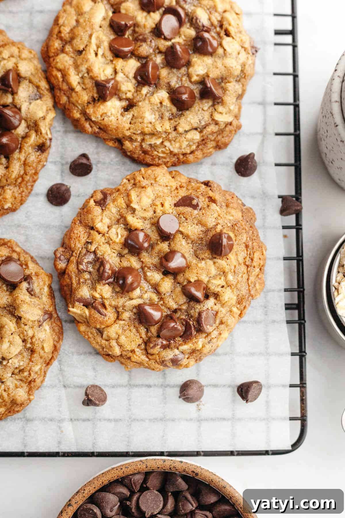 Chewy Brown-Butter Oatmeal Cookies with Chocolate Chips 10 Oatmeal brown butter cookies with chocolate chips on a wire cooling rack.
