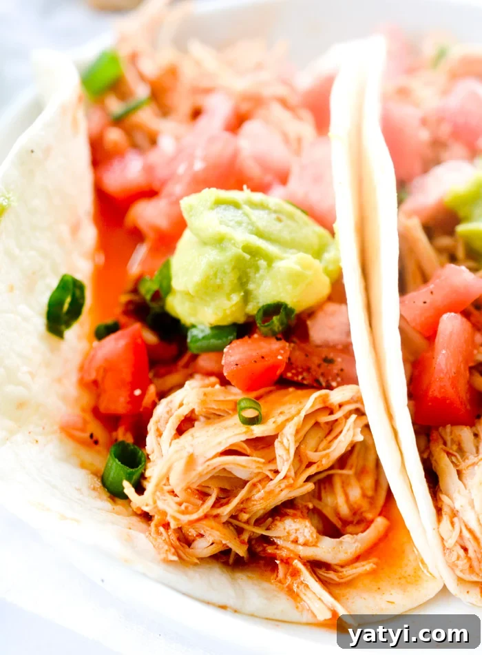 Zero SmartPoint Weight Watchers Recipes for Quick Meals 13 Shredded Chicken Tacos