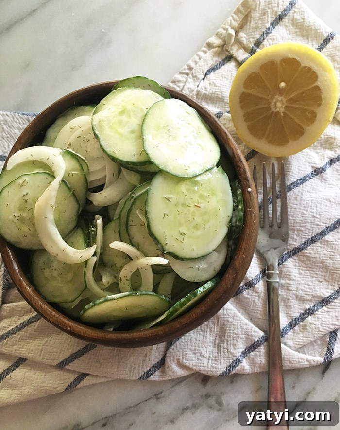 Zero SmartPoint Weight Watchers Recipes for Quick Meals 15 Cucumber Salad