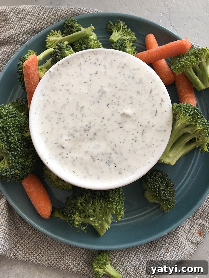 Zero SmartPoint Weight Watchers Recipes for Quick Meals 16 Homemade Ranch Dressing