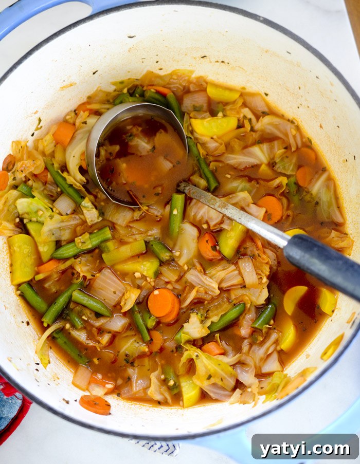 Zero SmartPoint Weight Watchers Recipes for Quick Meals 18 Cabbage Soup