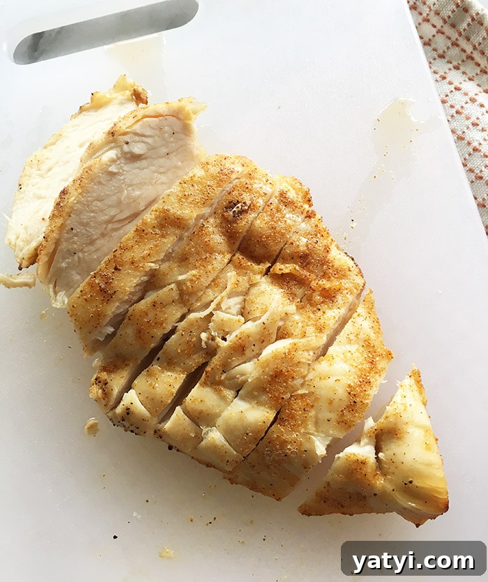 Zero SmartPoint Weight Watchers Recipes for Quick Meals 19 Air Fryer Chicken Breast