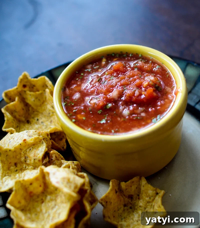 Zero SmartPoint Weight Watchers Recipes for Quick Meals 3 Blender Salsa