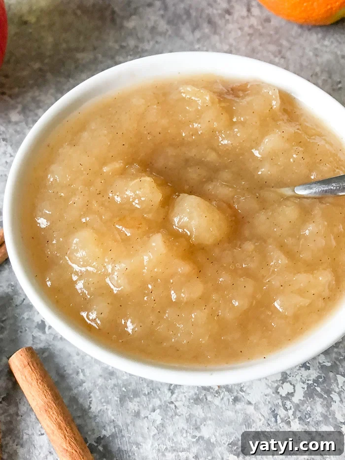 Zero SmartPoint Weight Watchers Recipes for Quick Meals 6 Apple Sauce
