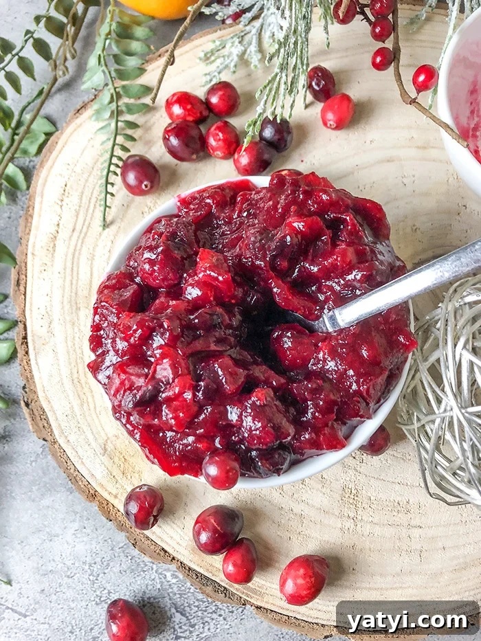 Zero SmartPoint Weight Watchers Recipes for Quick Meals 8 Cranberry Sauce