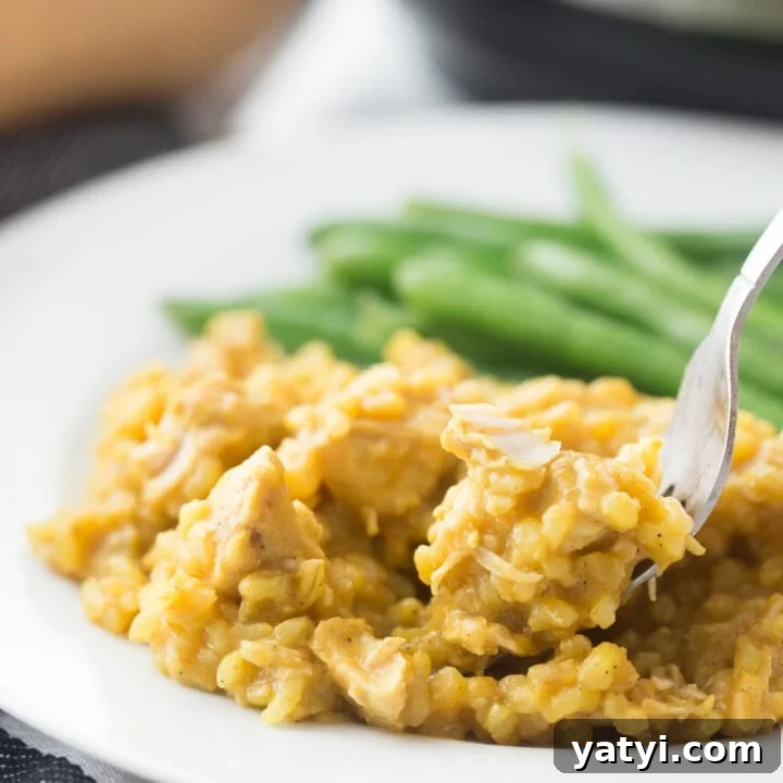 Image for Friday: Instant Pot Chicken Curry and Rice