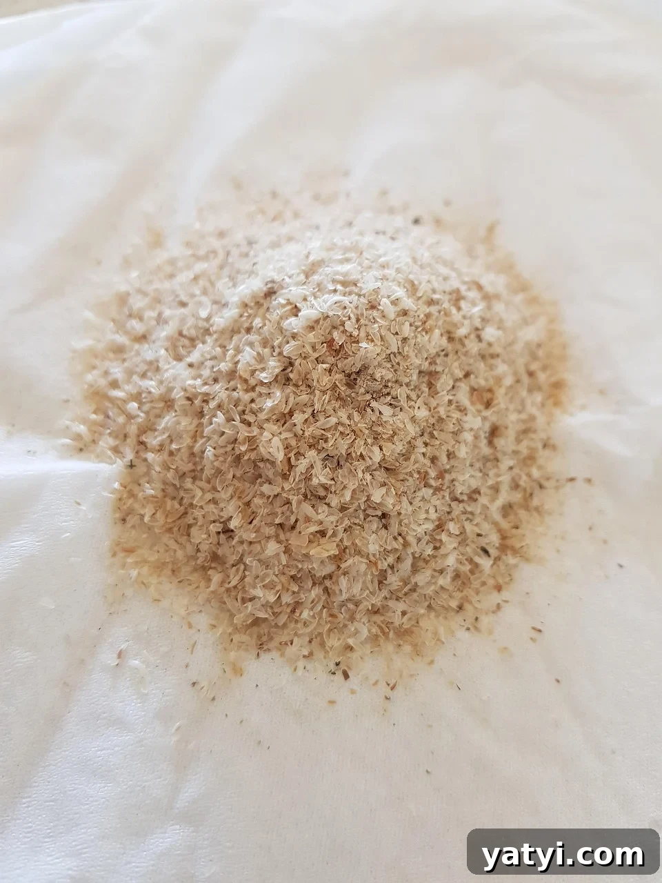 psyllium husk