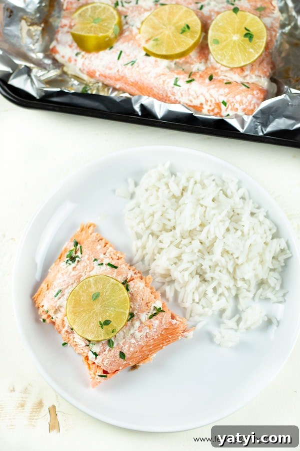 Foil-Packet Grilled Coho Salmon with Lemon and Herbs 6 Top view of a plate of grilled salmon and rice.