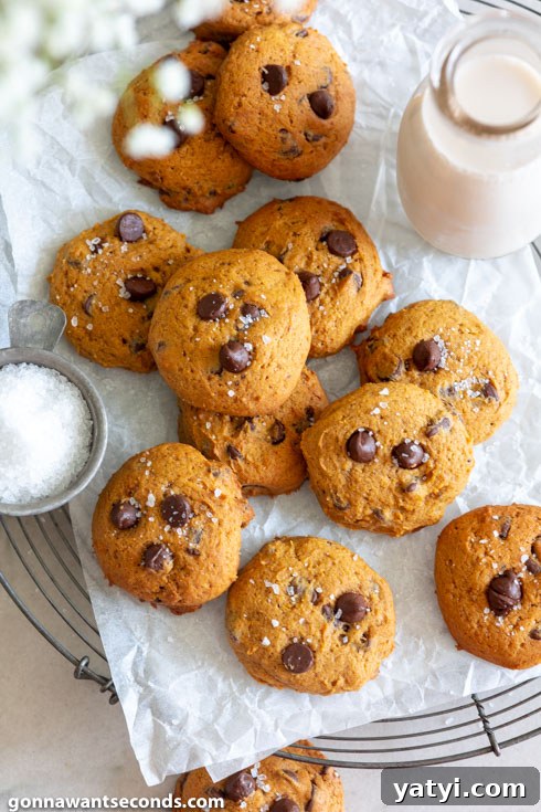 pumpkin chocolate chip cookies with milk on the side, top shot