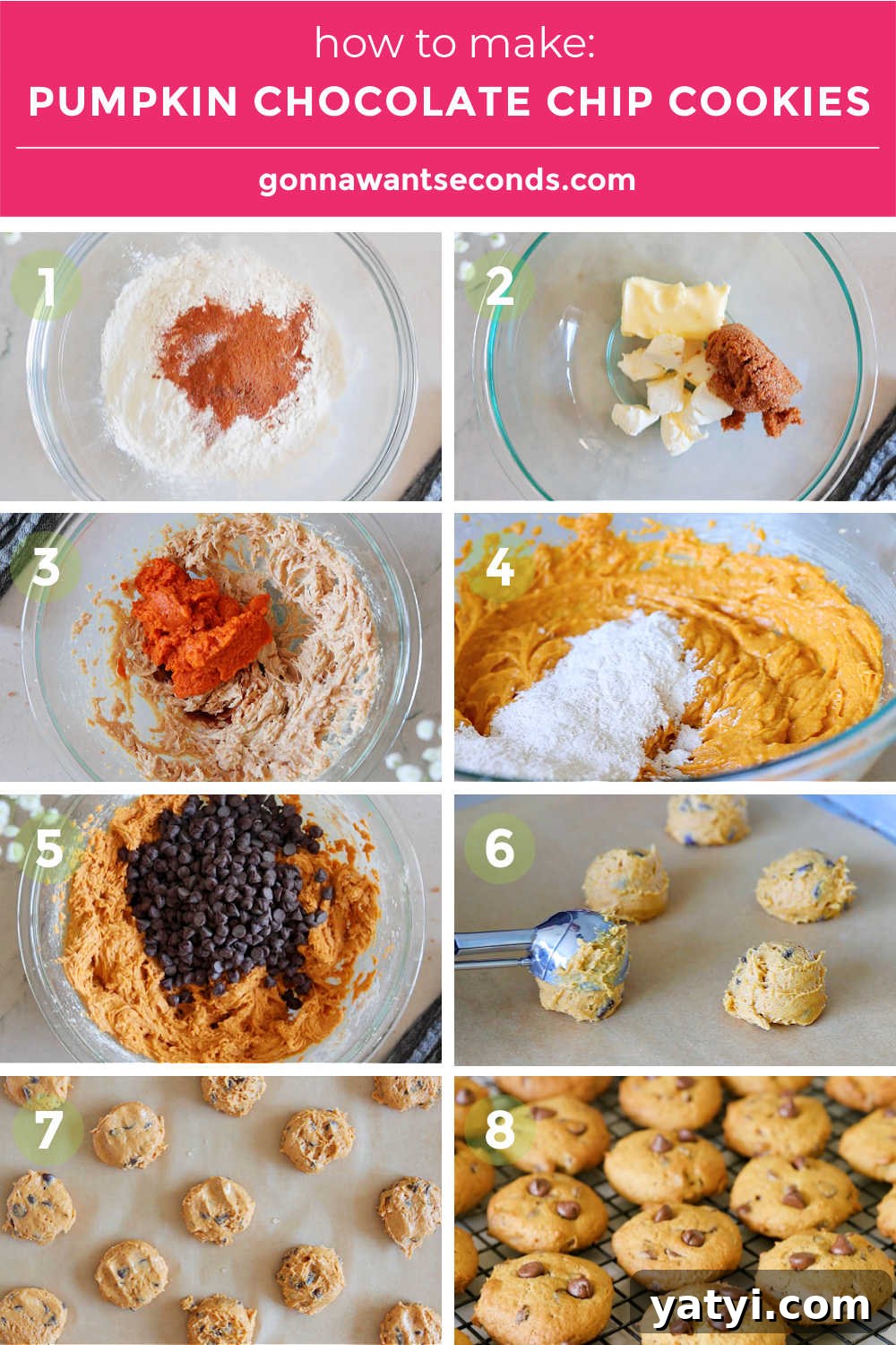 Step by step how to make pumpkin chocolate chip cookies