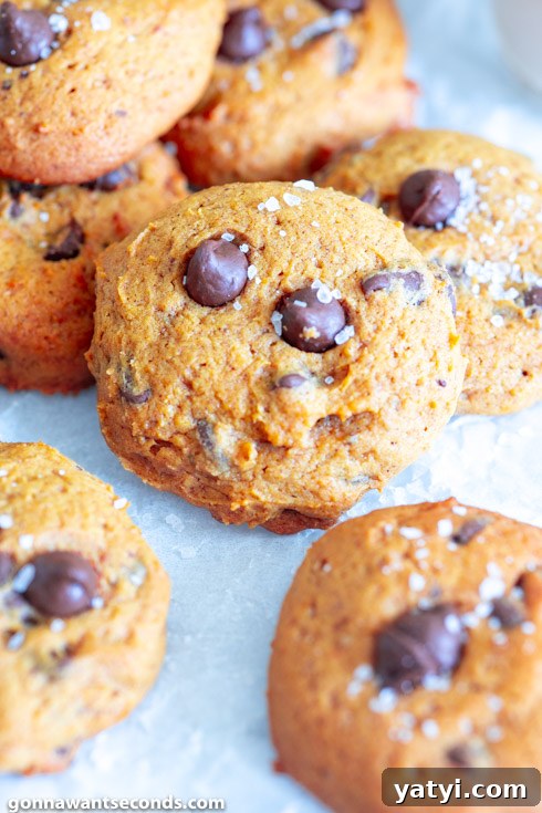 old fashioned pumpkin chocolate chip cookies, close up