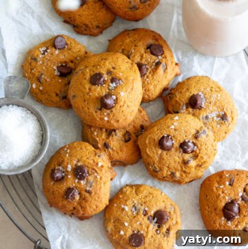 pumpkin chocolate chip cookies with milk on the side, top shot