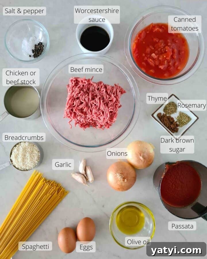 Classic Spaghetti and Meatballs Recipe with Savory Tomato Sauce 3 Overhead shot of all ingredients required for this recipe