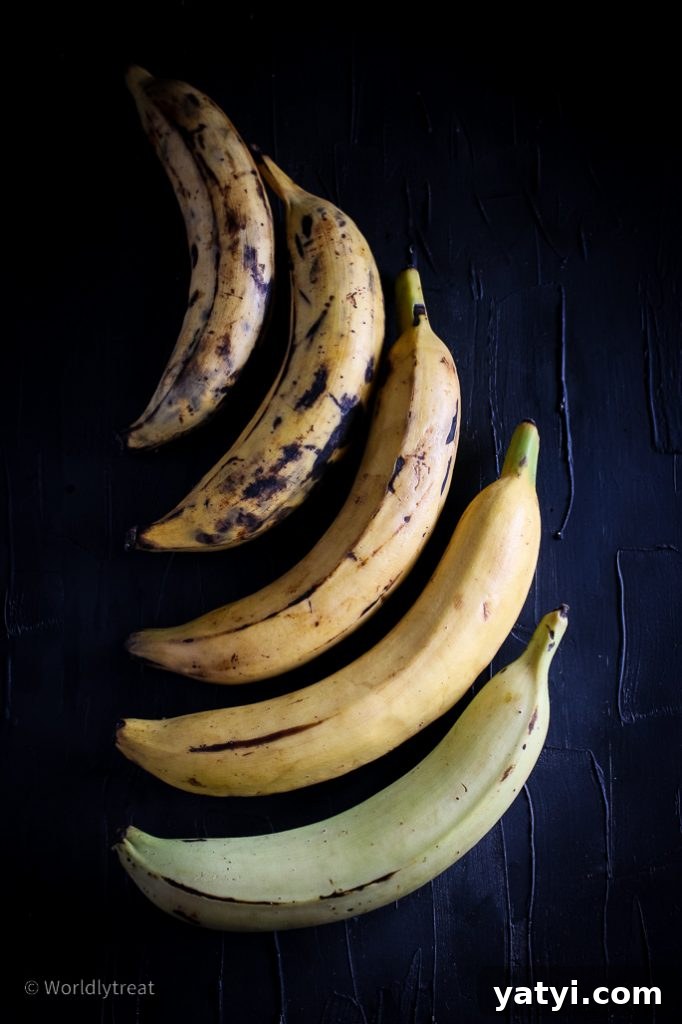 Crunchy Nut and Plantain Quick Bread: Moist Tropical Loaf 3 Nutty Plantain Bread