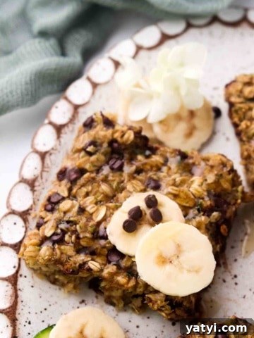 beautiful plate of zucchini oatmeal bars
