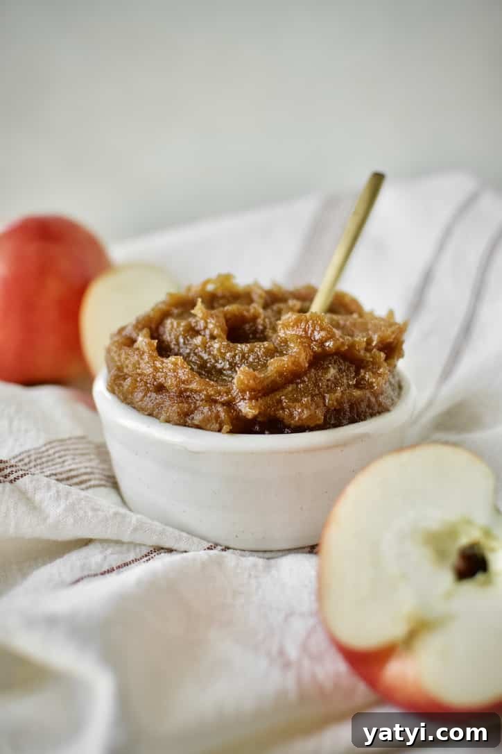 How to Make Rich Homemade Apple Butter in Your Kitchen 2 Finished Apple Butter in a dish with a gold spoon in it.