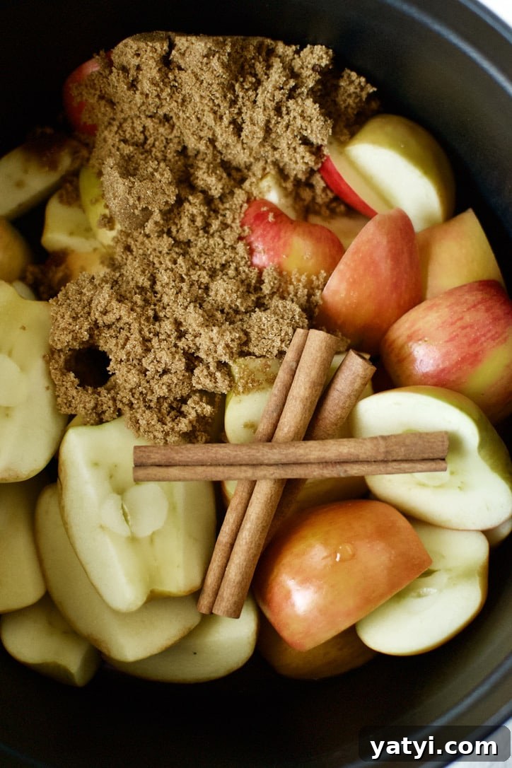 How to Make Rich Homemade Apple Butter in Your Kitchen 4 All ingredients for Homemade Apple Butter place in the pot.