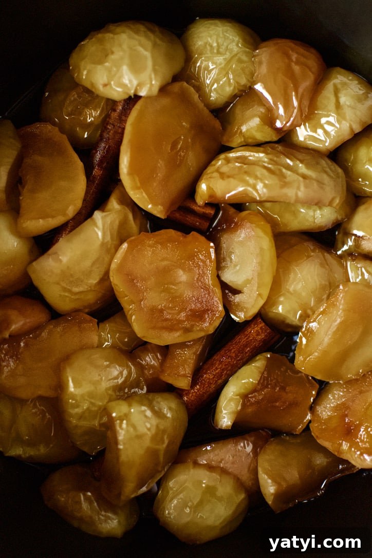 How to Make Rich Homemade Apple Butter in Your Kitchen 5 Apples after the initial cooking time, very soft.