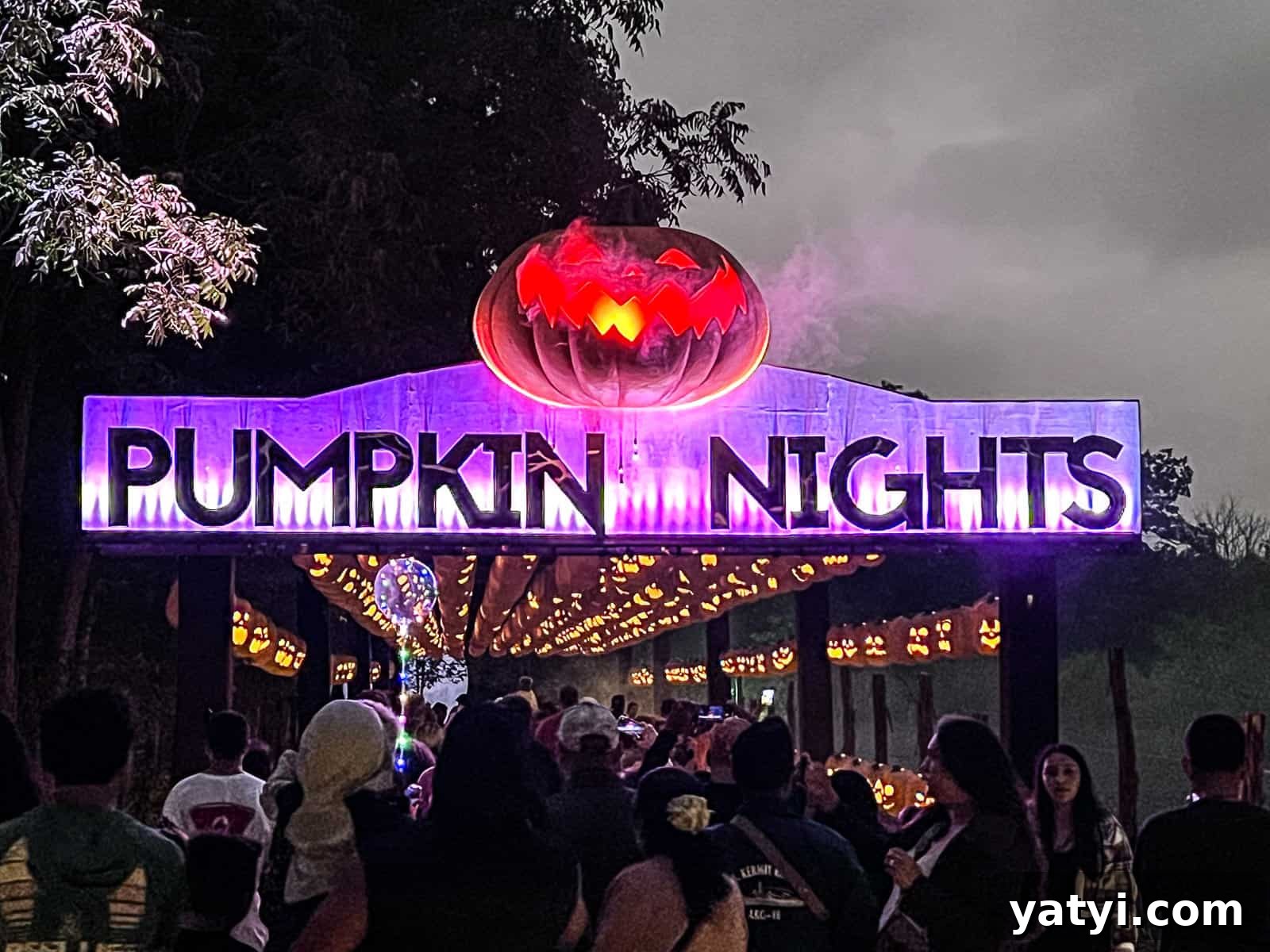 Pumpkin Nights in Austin Texas