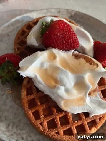 Air Fryer Recipes for Beginners