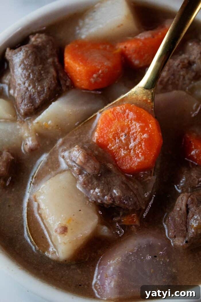 Hearty Keto Ground Beef Stew Recipe for Low-Carb Meals 14 overhead view of keto beef stew ready to serve in a white bowl