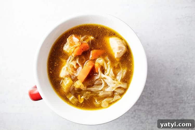 Hearty Keto Ground Beef Stew Recipe for Low-Carb Meals 21 small bowl of keto chicken noodle soup with red handle