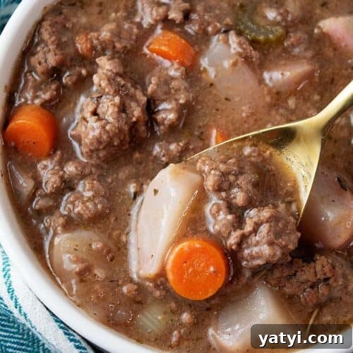overhead view of keto ground beef stew in a white serving bowl ready to serve