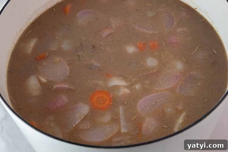 Hearty Keto Ground Beef Stew Recipe for Low-Carb Meals 4 overhead view of cooked beef stew with radishes, turnips and carrots added and ready to finish cooking