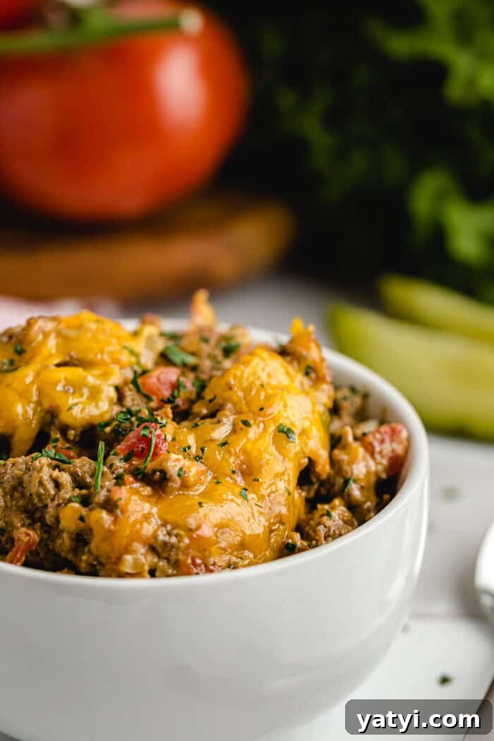 Hearty Keto Ground Beef Stew Recipe for Low-Carb Meals 6 keto cheeseburger casserole in serving bowl