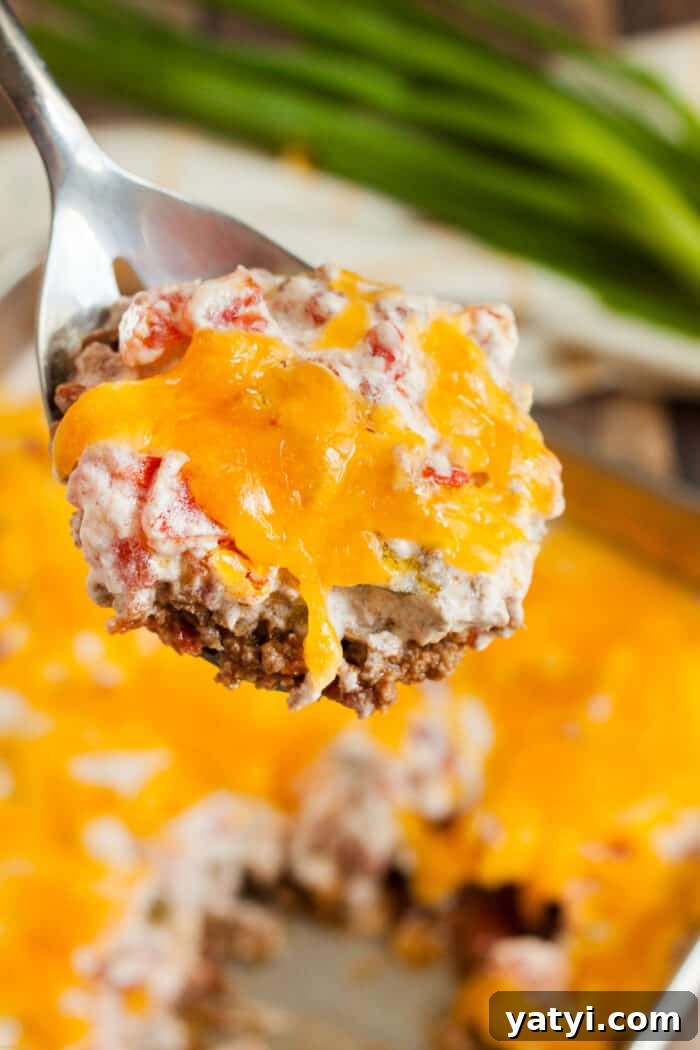 Hearty Keto Ground Beef Stew Recipe for Low-Carb Meals 9 keto casserole beef and tomato on spoon being served