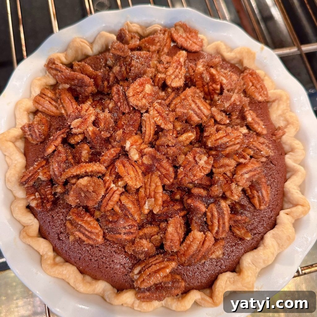 Decadent Chocolate Pecan Chess Pie Recipe for Home Bakers 11 Placing sugar pecans on the top of the chocolate pie filling and baking in the oven.