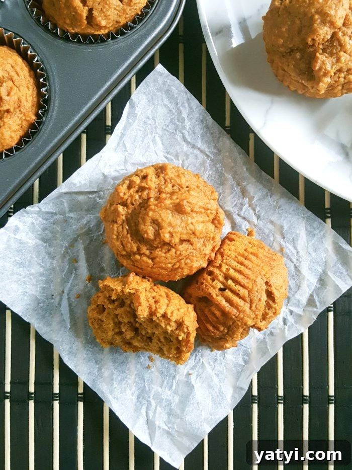 Greek Yogurt Pumpkin Muffins with Warm Spices 3 Healthy Greek Yogurt Pumpkin Muffins - Soft, moist whole wheat pumpkin muffins made with pumpkin puree. Perfect for a Fall breakfast.