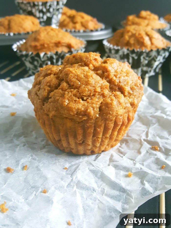 Greek Yogurt Pumpkin Muffins with Warm Spices 4 Healthy Greek Yogurt Pumpkin Muffins - Soft, moist whole wheat pumpkin muffins made with pumpkin puree. Perfect for a Fall breakfast.