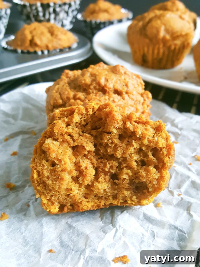 Greek Yogurt Pumpkin Muffins with Warm Spices 5 Healthy Greek Yogurt Pumpkin Muffins - Soft, moist whole wheat pumpkin muffins made with pumpkin puree. Perfect for a Fall breakfast.