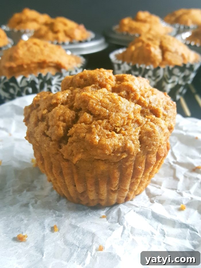 Greek Yogurt Pumpkin Muffins with Warm Spices 6 Healthy Greek Yogurt Pumpkin Muffins - Soft, moist whole wheat pumpkin muffins made with pumpkin puree. Perfect for a Fall breakfast.