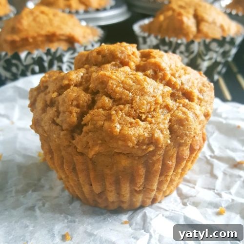 Greek Yogurt Pumpkin Muffins with Warm Spices 7 Healthy Greek Yogurt Pumpkin Muffins - Soft, moist whole wheat pumpkin muffins made with pumpkin puree and perfect for a Fall breakfast.